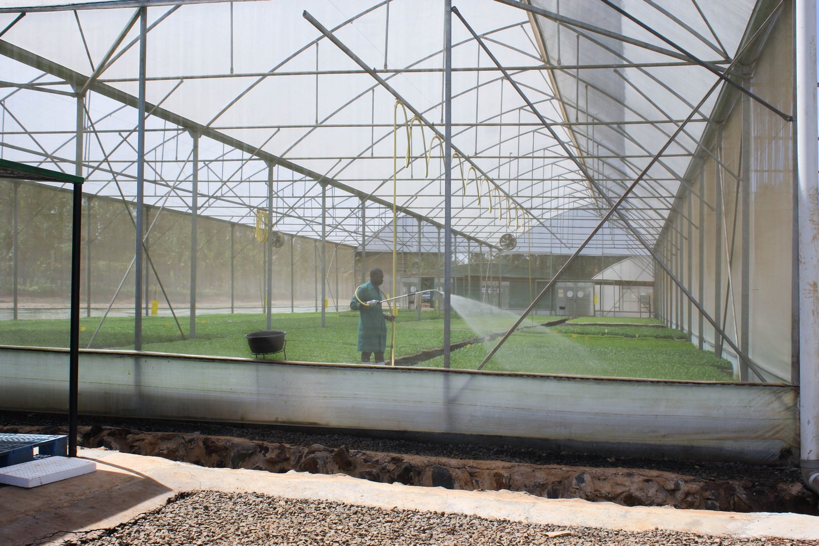 GrowPact Kenya facility in Kapkoi, Kitale