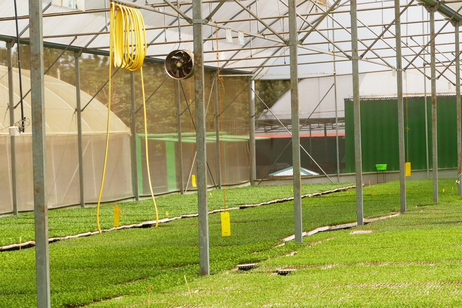 GrowPact seedling nursery