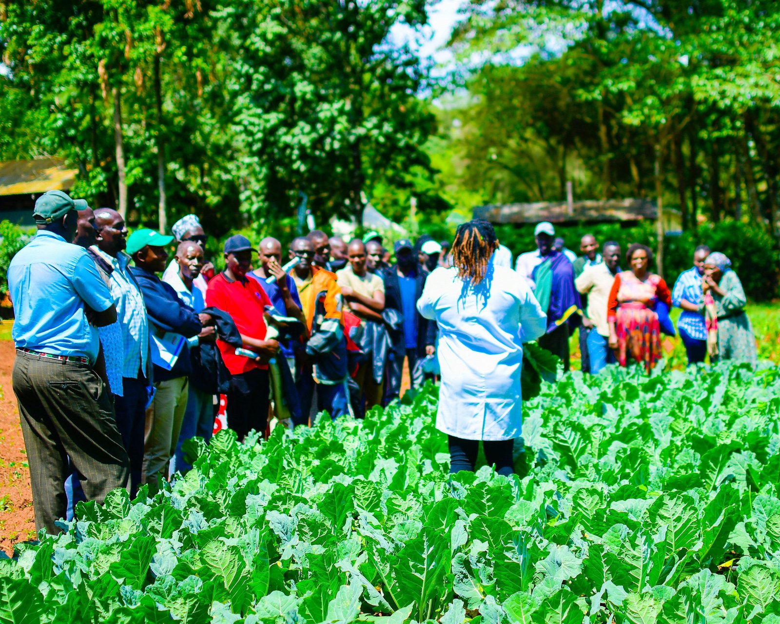 GrowPact farm field day with farmers
